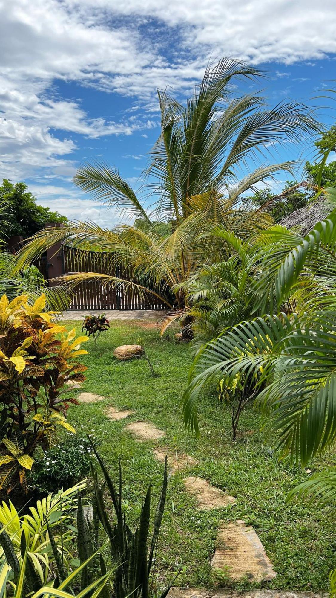 The Lookout Lodge Tangalle Eksteriør bilde